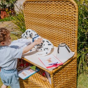 Clínica Veterinária